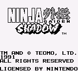 Ninja Gaiden Shadow (USA)